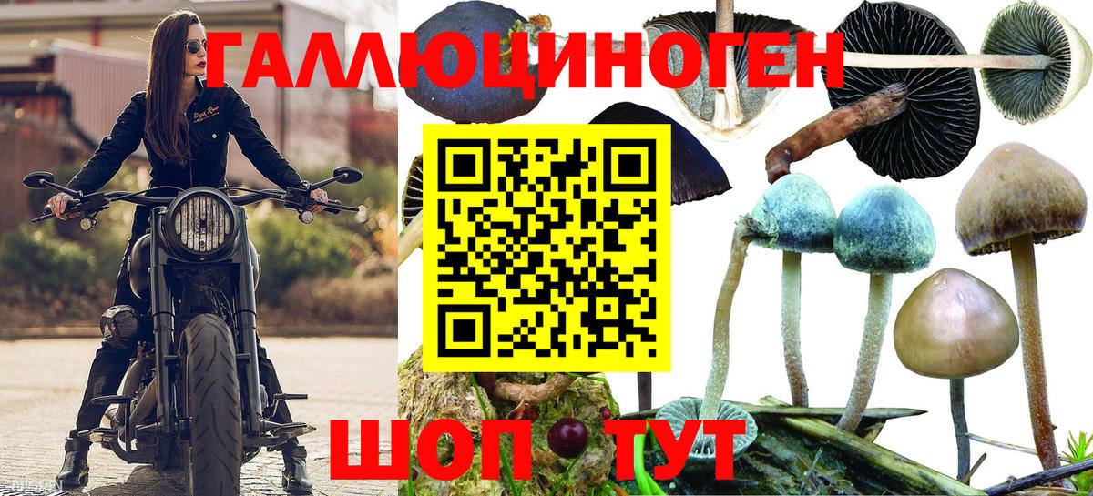 наркошоп  Псилоцибиновые грибы Psilocybine cubensis  Вход с VPN  Галлюциногенные грибы Psilocybine cubensis  Наро-Фоминск 