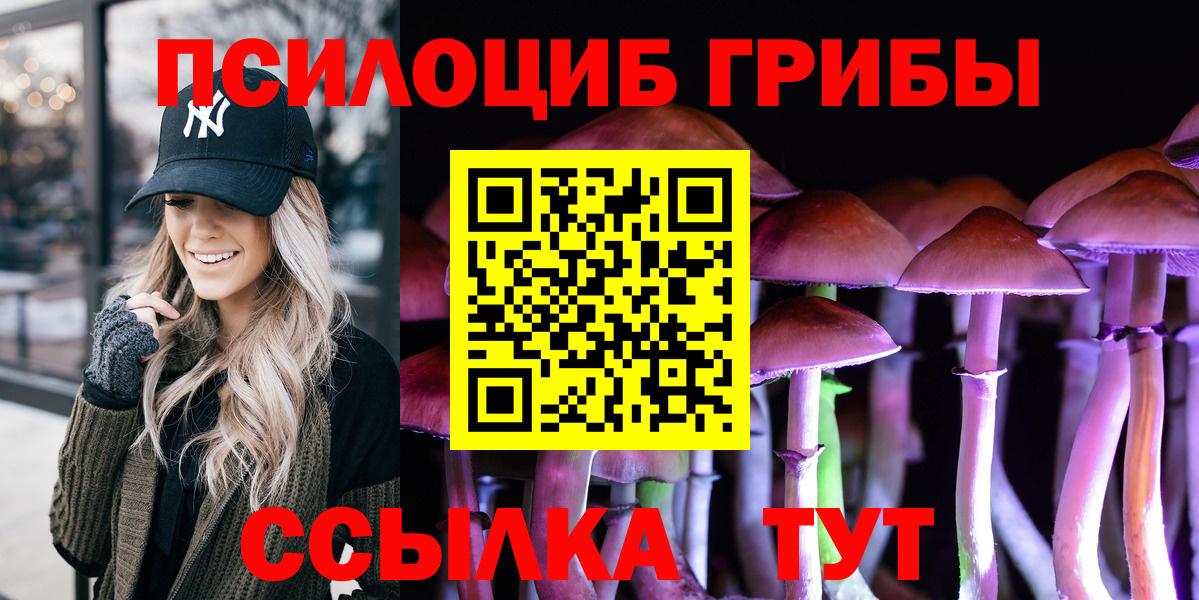 Псилоцибиновые грибы Cubensis Наро-Фоминск